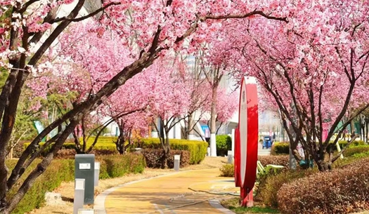 駛向春光里！城發(fā)集團(tuán)奏響“爭(zhēng)春奮進(jìn)曲”